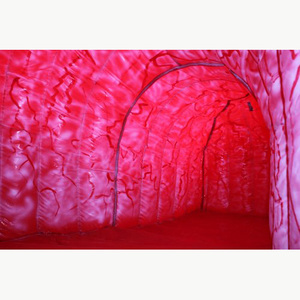 Modelo Anatómico Inflable Gigante <span class=keywords><strong>de</strong></span> Estómago en Tela Oxford para Exhibición Educativa sobre Salud Digestiva - Product Image 5