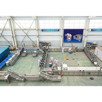 Aangepaste ervaring Volledig automatische hoogcapaciteits 2000kg fruit snoep friteuse aardappelchips productie verwerkingsmachine friet