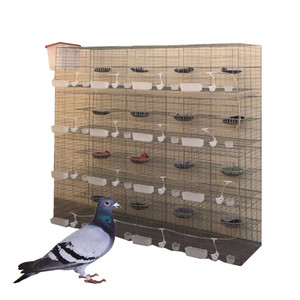 Gabbia per Allevamento Piccioni da Corsa a 32 Celle, Attrezzatura per Piccioni a 24 Celle HJ-PC32 - Product Image 1