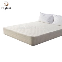 Diglant JE-A932 Orthopédique lit éponge matelas pour les ensembles de chambre à coucher