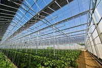 Serre solaire passive moderne commerciale avec grand panneau solaire transparent pour la culture de légumes