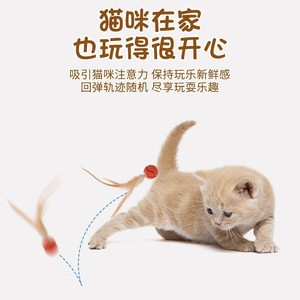 Hualien Season New Internet Red Elastic Sports Cat Toy Ball Pet Spherical Interactive Ball Throwing Toy - Product Image 4