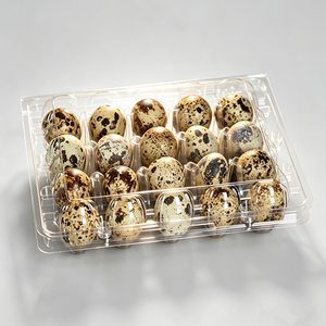 Barquettes à œufs <span class=keywords><strong>en</strong></span> plastique transparent, capacité pour œufs de caille, design empilable pour un stockage et un transport sécurisés pour les fermes, les épiceries et l'usage domestique - Product Image 4