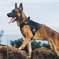 Harnais tactique transfrontalier pour chien, réglable, en maille, pour grands chiens, avec laisse réfléchissante pour extérieur