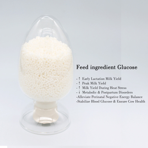 Glicose Protegida pelo Rúmen em Vacas Leiteiras, que Aumenta a Produção de Leite, Alivia o Estresse Térmico e Estabiliza a Glicose no Sangue - Product Image 5