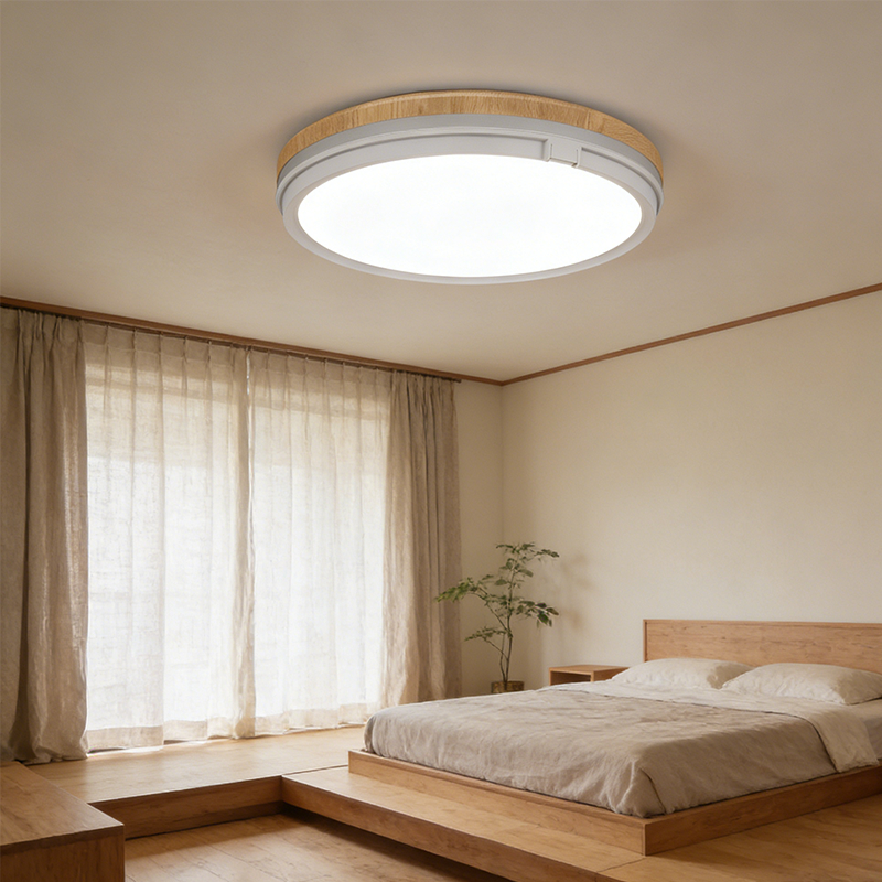 IP33 ABS Modern Round LED Ceiling Light Flush Mount Ceiling Lamp for Bedroom Living Room