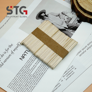 Bâtonnets de crème <span class=keywords><strong>glacée</strong></span> en bois de bouleau robustes sur mesure, écologiques et naturels, pour usines de crème <span class=keywords><strong>glacée</strong></span>, certifiés BRCGS - Product Image 2