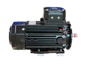 Neuer Original & PLC M3JP 160MLB 2 IMB35/IM2001 EX Elektromotor 15kW 400/690V 2943U/min * Günstiger Preis * Auf Lager - Bestseller - Product Image 3