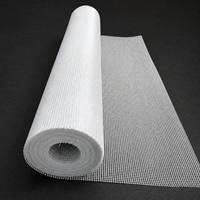 Bâche en maille PVC enduite imperméable transparente enroulable pour la protection de la construction