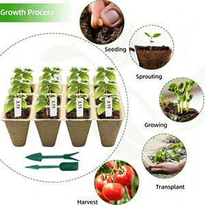 DaringFish Plateau de semis carré biodégradable 20x12 alvéoles + 20x étiquettes pour plantes + 1x kit de jardinage avec piqueur - Product Image 4