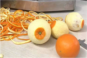 Commercial Table Top Lemon Peeler Industrial 304 Stainless Steel Motorized Easy Operate <b>Fruit</b> <b>Vegetable</b> Orange Peeling <b>Machine</b> - Product Image 5