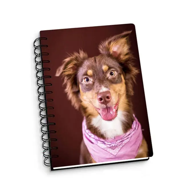 3D lenticular printing notebook for students custom writing 3d lenticular notebook for kids