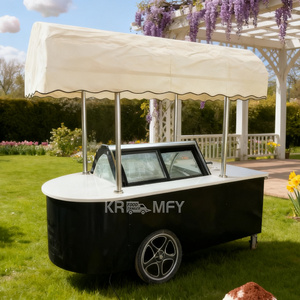 OEM Commercial Mini Frozen Display Electric Fiberglass Food Trailer Gelato Beach Freezer Hand Cart <b>Push</b> Carts for Ice Cream - Product Image 5