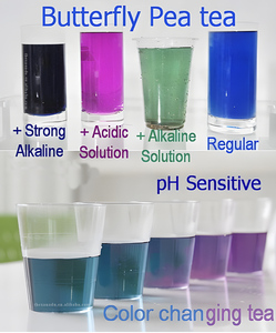 <span class=keywords><strong>Xanadu</strong></span> ลูกถั่วลันเตาดอกไม้สีฟ้า5g 4ชิ้นไทยเปลี่ยนเครื่องดื่มสมุนไพรหลอดแก้วสำหรับค็อกเทลย้อมสีเบเกอรี่ของขวัญ - Product Image 3