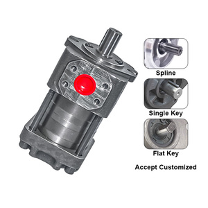 ปั๊มเกียร์ภายในแบบไฮเอนด์ Bibo LF Replacement QT Pump QT 43-25-A QT 43-25F-A สำหรับถ่ายโอนของเหลว แรงดันสูง 25MPa ปริมาณน้ำมัน 10-125 ซีซี/รอบ ระบบเกียร์น้ำมัน - Product Image 5