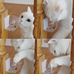 Juguete de autoentretenimiento para gatos, comedero para gatos, bolsa para premios, árbol para gatos multifuncional con adhesivos, juguete educativo para gatos - Product Image 1