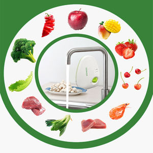 QihangRAS بسعر الجملة مولد أوزون رقمي صغير ملغ جهاز تنقية المياه للاستخدام المنزلي جهاز الأوزون لغسيل الفواكه والخضروات - Product Image 3