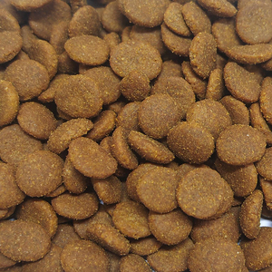 Alimento Seco para Gatos de Marca Reconocida, Oferta Especial, Varias Formas, Contenido de Proteína 18%-45%, Venta Económica, Sin Granos - Product Image 6