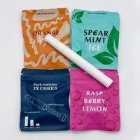Bâtonnet inhalateur sans fumée à air pressurisé aromatisé sur mesure avec cartouches et kit de nettoyage, capacité de 5 ml pour usage buccal