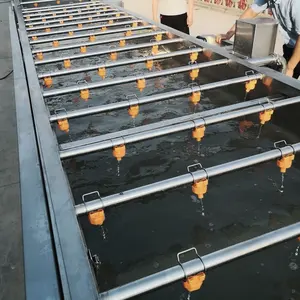 Automatic Strawberry Washing machines for vegetable