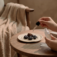 Diffuseur en pierre volcanique avec plateau en céramique, ensemble de pierres d'aromathérapie aux huiles essentielles pour la décoration intérieure et l'assainisseur d'air