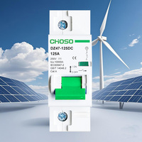 CHOSO DZ47-125 1P2P3P4P 80A100A125A Disjoncteur miniature DC 500V 10kA PA66 Li pour panneaux solaires photovoltaïques Interrupteur sectionneur DIN Domestique