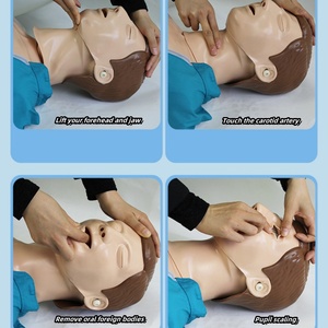 Modello di Rianimazione Cardiopolmonare a Mezzo Busto di Alta Qualità, Vendita Diretta dal Produttore - Product Image 4