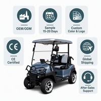 Voiture de golf électrique 2 places Tarion Golf Course Resort Hotel, batterie lithium 72V, certifiée DOT, autonomie 90 km, homologuée pour la route