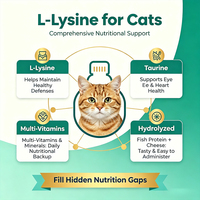 Pâte de L-Lysine et Taurine Multivitaminée en Gel pour Chats (OEM/ODM) – Soin Contre les Éternuements, le Nez qui Coule et les Yeux Larmoyants chez les Chatons et Chats Adultes