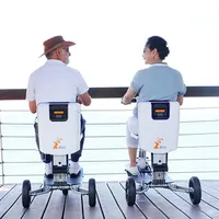Tricycle électrique cargo à 3 roues 250W pour UE/États-Unis, 350W, carrosserie ouverte, avec batterie au lithium amovible 48V, autonomie de 30 km