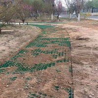Pavé de stationnement voiture plastique perméable stabiliser pavage allée gravier pelouse herbe grille