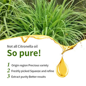 Prix de gros en vrac : <span class=keywords><strong>Huile</strong></span> <span class=keywords><strong>essentielle</strong></span> de <span class=keywords><strong>citronnelle</strong></span> de Java 100% biologique et pure naturelle - Product Image 4