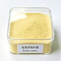 Bacillus Subtilis 100 milliards UFC/g Enzymes universelles de qualité alimentaire à croissance multi-étapes pour la digestion et la nutrition – Aliment de démarrage et de croissance