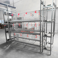 Cage à poulets de type H à 4 niveaux et 4 portes, système de cages en batterie galvanisé à chaud, capacité de 128 oiseaux par ensemble, équipement avicole