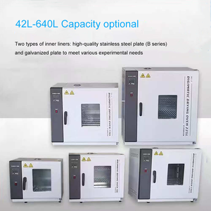 Hot Selling elektrische verwarming constante temperatuur heteluchtdroogoven met digitale instrumentcontrole - Product Image 6