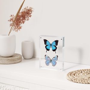 4x6 rõ ràng Acrylic hình ảnh KHUNG 10 + 10mm Độ dày từ miễn phí đứng máy tính để bàn hiển thị lucite khung ảnh 4x6 đôi - Product Image 5