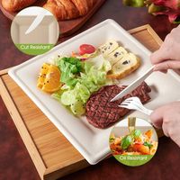 Assiettes de bagasse de canne à sucre biodégradables écologiques Assiette jetable de 10 pouces Assiette en papier carrée compostable pour dîner de fête