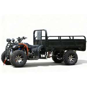 Quad 300cc 4x4 à démarrage électrique automatique, certifié CEE, UTV à essence avec une charge utile de 500 kg, 50-75 km/h, pour travaux agricoles en montagne - Product Image 4