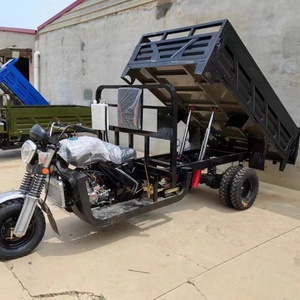 Tricycle à moteur à essence, refroidi par eau, pour le transport agricole de marchandises, tricycle cargo, moto de fret - Product Image 6