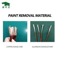 Décapant de peinture pour métal Heavy Duty Strong Water Remover Removal Aluminium Best Automotive Tools Wire Stripper
