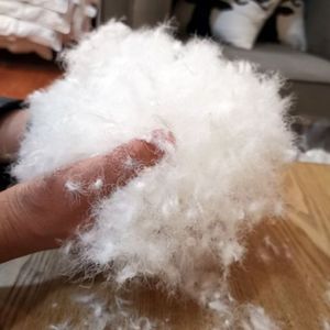 Nhà Máy Bán Lông Vịt Và Ngỗng Trắng Đã Giặt <span class=keywords><strong>2</strong></span>-<span class=keywords><strong>4Cm</strong></span> - Product Image 5