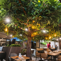 Arbres artificiels de banian personnalisés pour hôtels, centres commerciaux et sites touristiques – Grand arbre artificiel en ficus vert