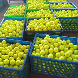 Pelota de tenis de goma duradera impresa con logotipo personalizado para perros y gatos - Product Image 4