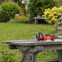 Outils de jardinage de vente de liquidation B2B Taille-haie à perche sans brosse avec deux batteries Li-ion Taille-haie sans fil Machine LDG01