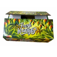 Pantone Kleur Gecoat Papier Mango Kartonnen Doos Vietnam Rechthoek Golfkarton Logo Cmyk Klant