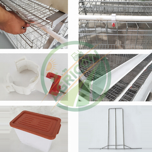 Jaula de gallinas ponedoras de 48 puestos, equipo de avicultura de alta calidad para uso en pequeñas granjas, jaula de batería para gallinas ponedoras - Product Image 3