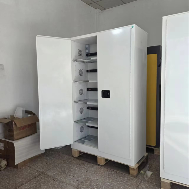 Dedicated Indoor Large Double Door Cabinet for Batteries Mobile Electronic Devices Lithium Battery Galvanized Steel IP54