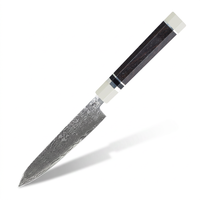 Couteau d'office 3,5 pouces, couteau de chef professionnel classique en acier Damas VG-10, manche en bois d'ébène avec résine