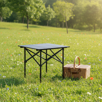 Table de pique-nique pliable moderne en acier carbone, taille M, légère, 50x53x50cm, mobilier d'extérieur portable pour l'école, le camping