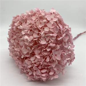 Hot Sale High Quality Room Wall Decoration Valentine's Day Preserved <strong>Hydrangea</strong> with Stem <strong>Artificial</strong> <strong>Hydrangea</strong> Flower - Product Image 1